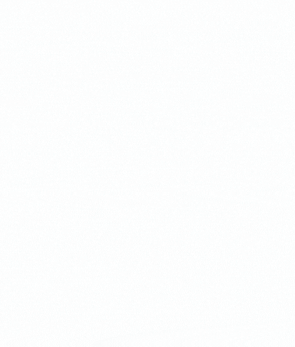 JSON Formatter